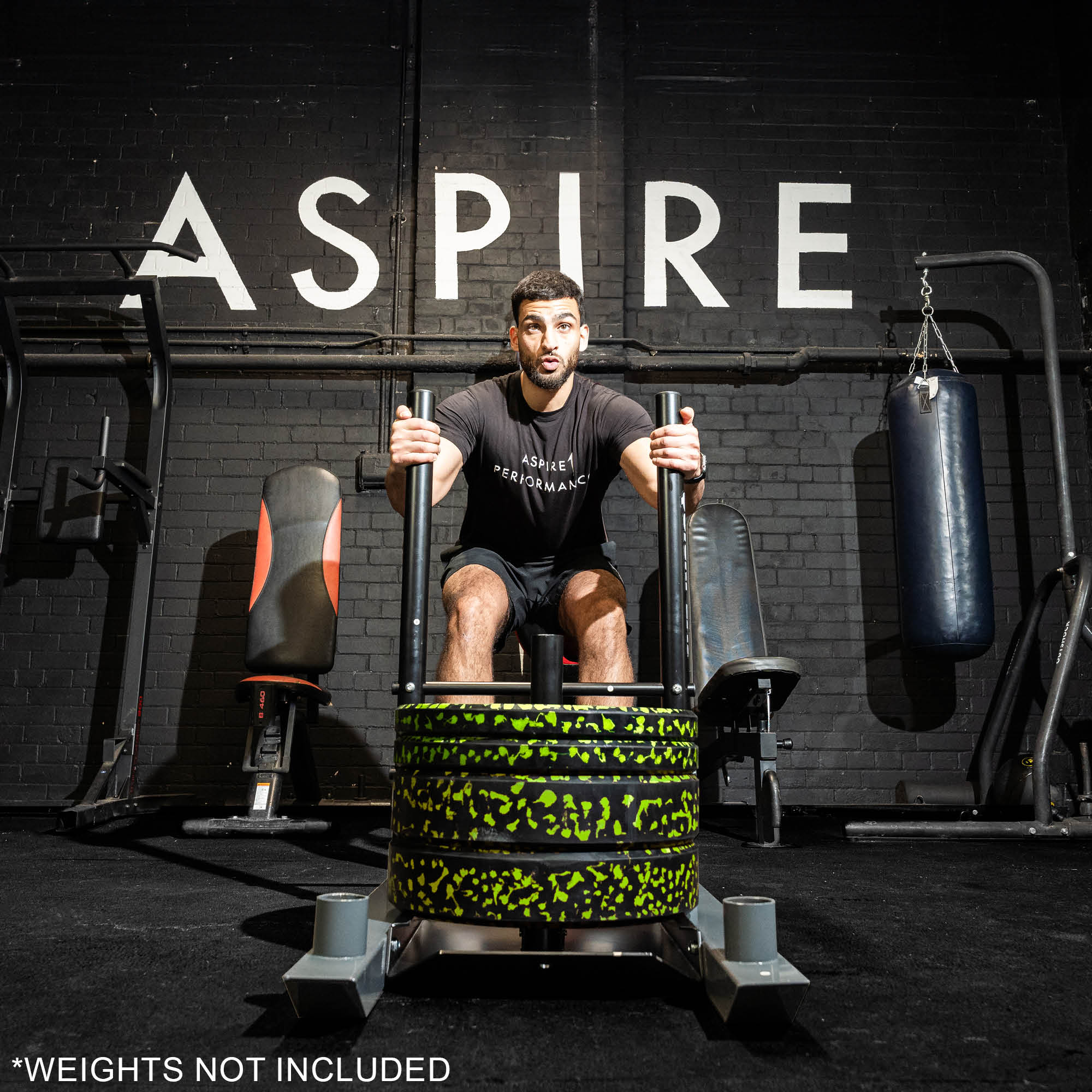 Push-Pull Power Sled System - Image 10